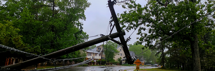 Fallen Power Pole - Discomfort