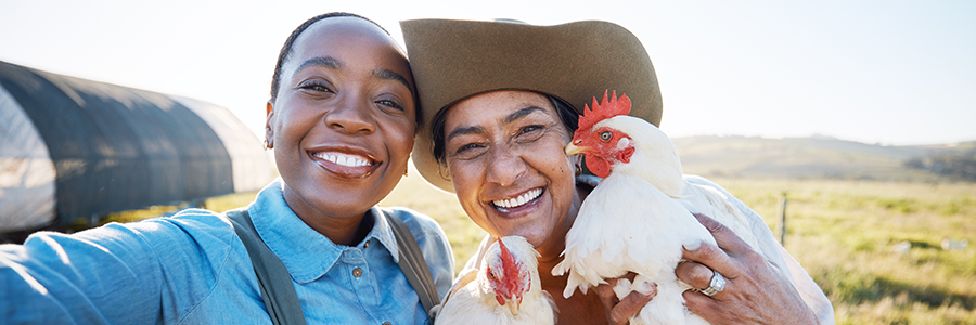  Farmers and Chickens