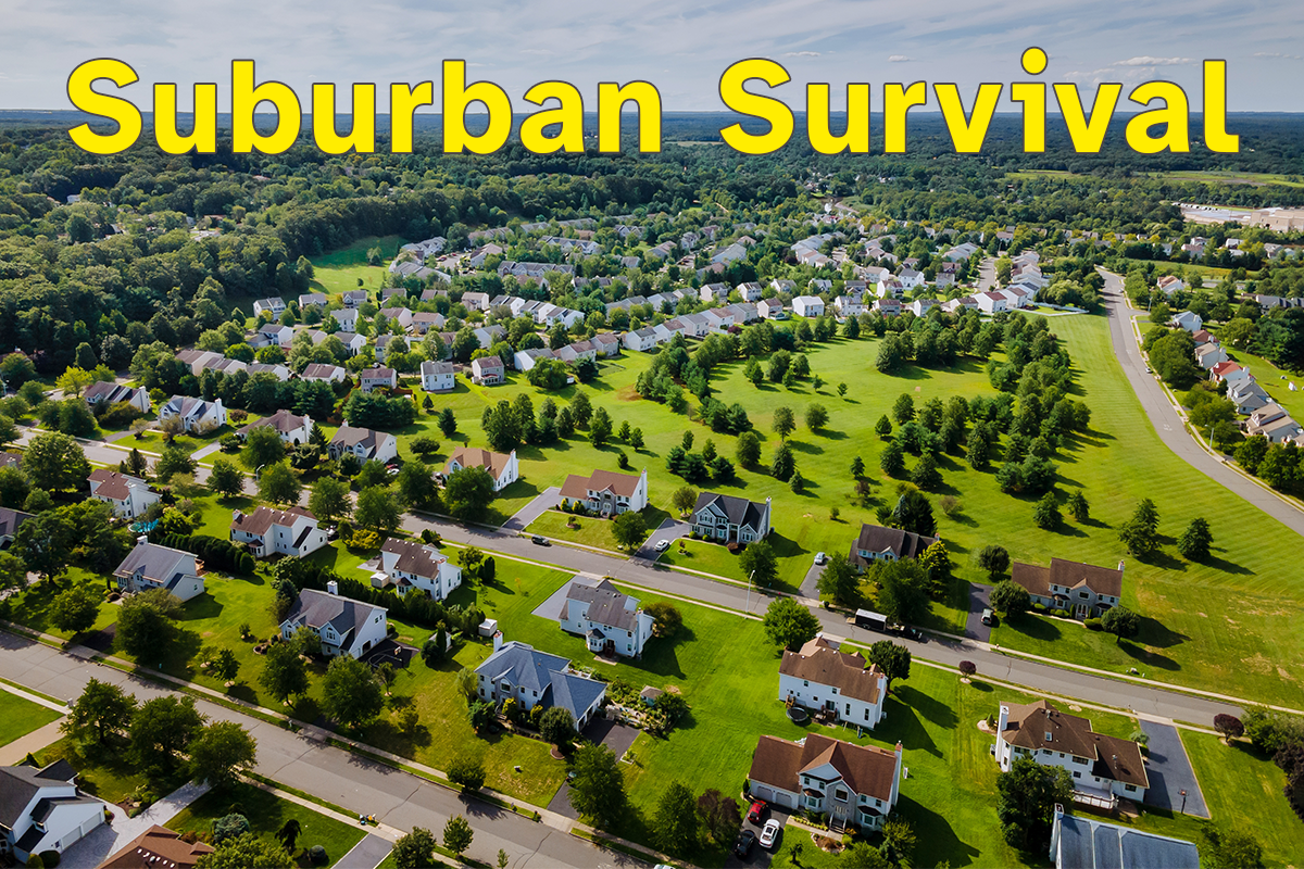 Suburban Survival Feaured Image